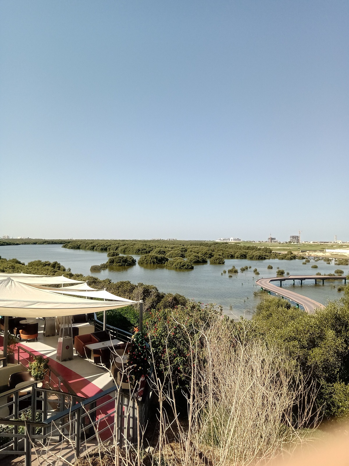 Mangroves in Al Zorah